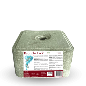 Over Horse lizawka BRONCHI LICK 8KG