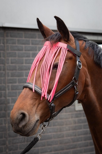 31300019_roze-1.jpg