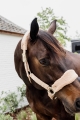 179A4251.jpg