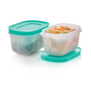 Tupperware Pojemniki do mrożenia 170 ml - 2 szt.