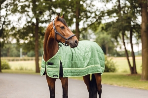 Horze Quebec podderka 100 g