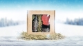 Winter_Edition_header4.jpg