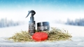 Winter_Edition_header6.jpg