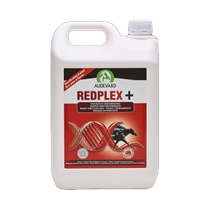Redplex-vigueur-performances-vitamines-5L-cheval-Audevard-Produits-veto.webp