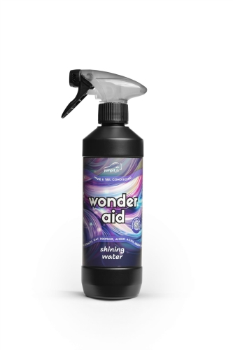 WonderAid_violet_shining_water kopia.jpg