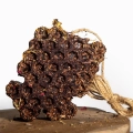LipowyGaj Gryzak Aronia b tlo.webp