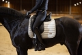 14884_9100_moodpictures_6.jpg