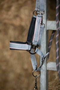 Harry's Horse Kantar z uwiązem Just Ride Urban