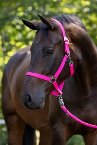 Covalliero Kantar dla konia Hippo, różowy