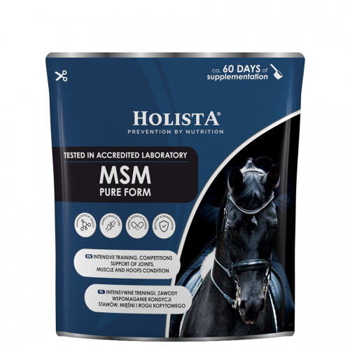 holistaequine-msm-pure-form-450g.jpg