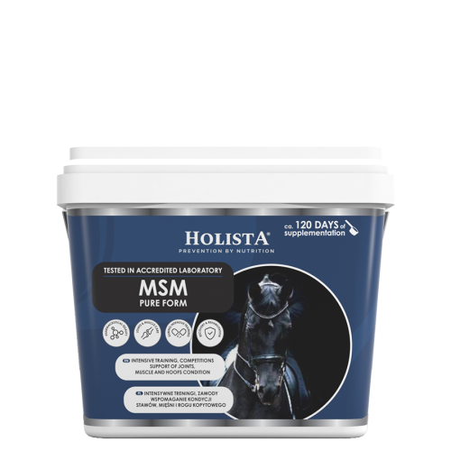 holistaequine-msm-pure-form-450g-2.jpg