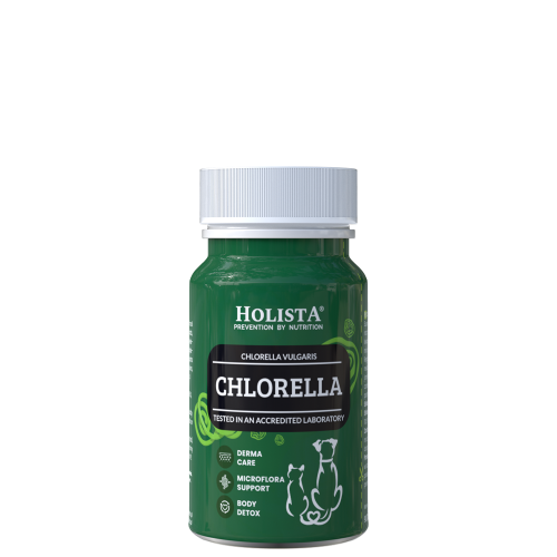 chlorella-90-tabs.jpg