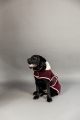 485A5445.jpg