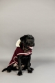 485A5468.jpg