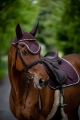 HorseTown - 06.jpg