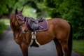 HorseTown - 05.jpg