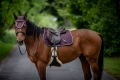 HorseTown - 04.jpg