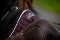 HorseTown - 10.jpg
