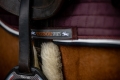 HorseTown - 11.jpg