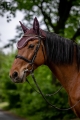 HorseTown - 09.jpg