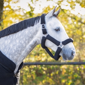 QHP Kantar z uwiązem Zahra Black