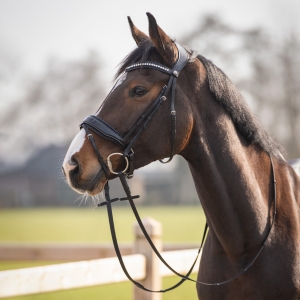 QHP Ogłowie Skye black