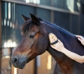 20876.jpg