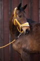 15388_1050_moodpictures_6.jpg