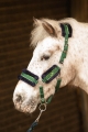 31001221_legergroen.jpg