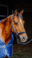 400989763_ambi_4_web.jpg