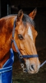 400989763_ambi_3_web.jpg