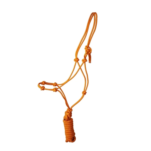 knotenhalfter-4-knoten-inkl-strick-orange.webp