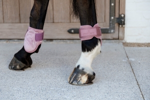 Kentucky ochraniacze tylne Young Horse Fetlock Velvet OLD ROSE S 