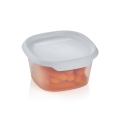 modulaire-pouce-carree-370-ml-tupperware-8083018.jpg