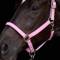 1601093600_3213_3213 - Pretty pink_3.jpg