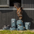 5639pgr-2.jpg