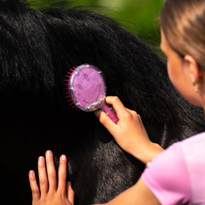 QHP Szczotka do grzywy i ogona Rosalynn Cheery pink