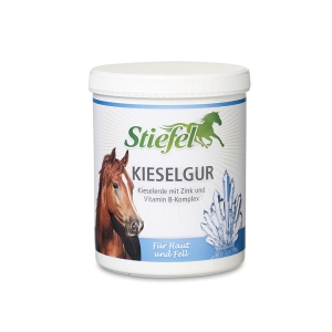 Stiefel Kieselgur 1kg Krzem KRÓTKA DATA WAŻNOŚCI