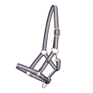 QHP Kantar źrebięcy collection foal shetty LAVENDER HAZE