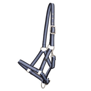 QHP Kantar źrebięcy collection foal shetty MISTY BLUE