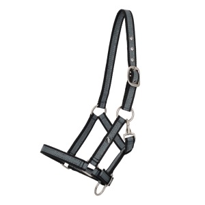 QHP Kantar źrebięcy collection foal shetty PALM GREEN