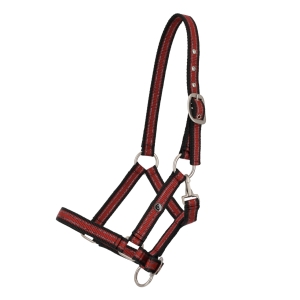 QHP Kantar źrebięcy collection foal FULL SUNSET RED