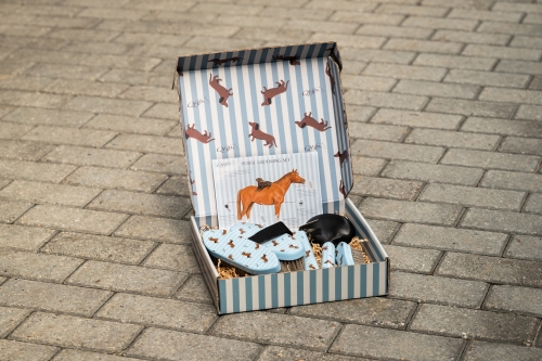 5690 Grooming set Stable buddy 1.jpg