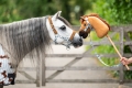 1222 5577 5691 Head collar set Stable buddy en Hobby horse 1.jpg