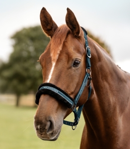 Waldhausen Kantar Elegant Petrol Blue