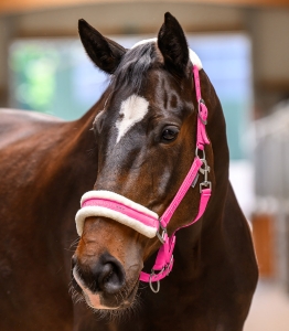 Waldhausen Kantar Elegant Pink