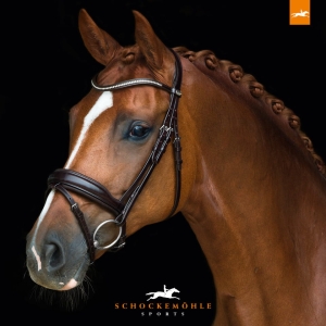 SCHOCKEMÖHLE Ogłowie anatomiczne CONCORD Premium Line 