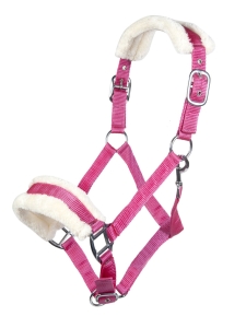 Kantar HKM Bischofshofen Magenta