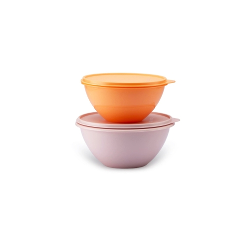 set-de-2-bols-merveilleux-1-l-et-17-l-tupperware-7516208.jpg