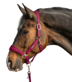 5052874-WB_11.png
